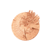 Лімітований хайлайтер для обличчя Charlotte Tilbury Magic Star Highlighter Magic Star 12гр