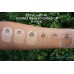 Тональний крем Estée Lauder Double Wear Stay-in-Place makeup 1N2 Ecru