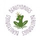 Beautydrugs